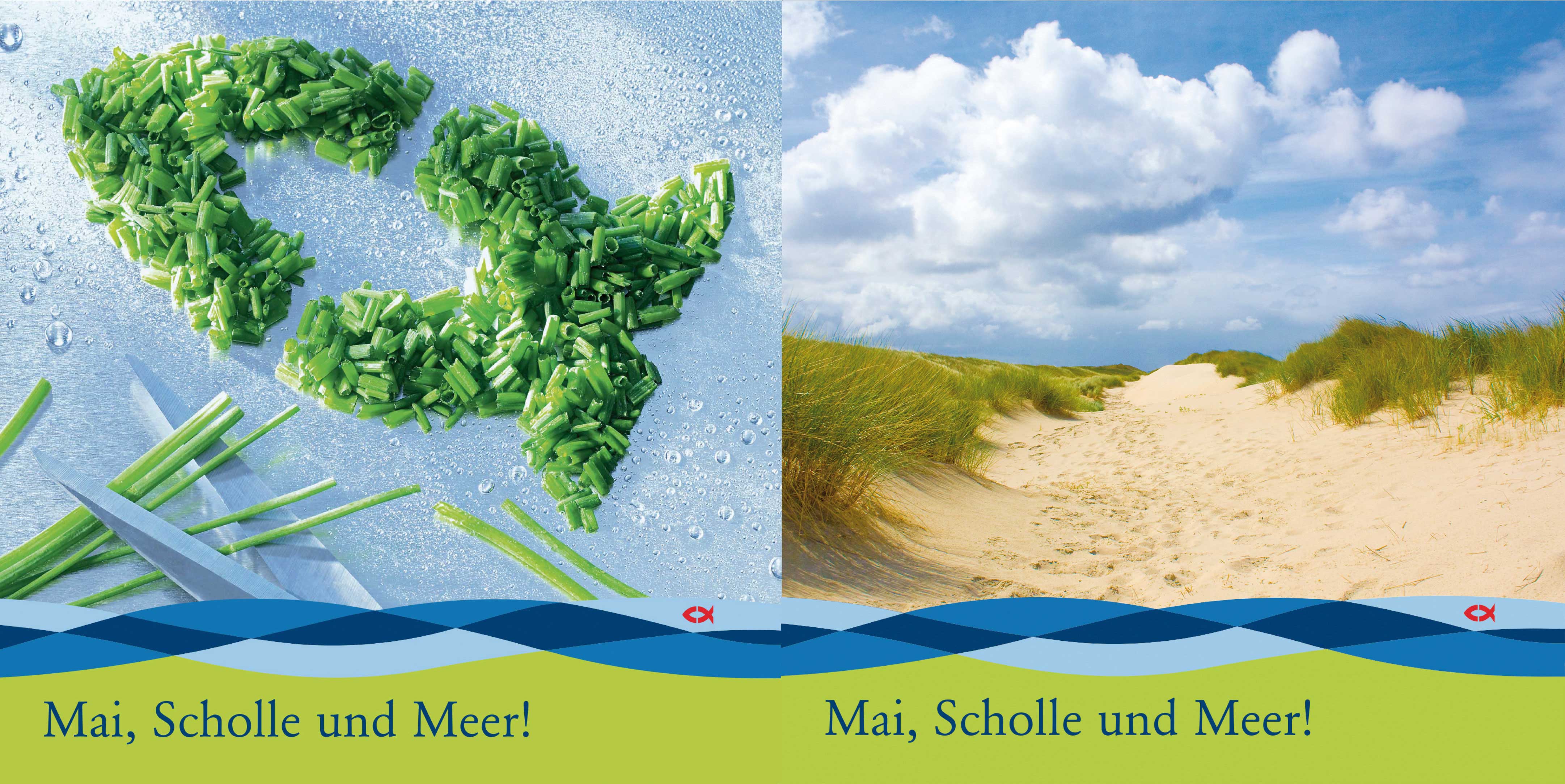 projekte nordsee pos NEU1 010916