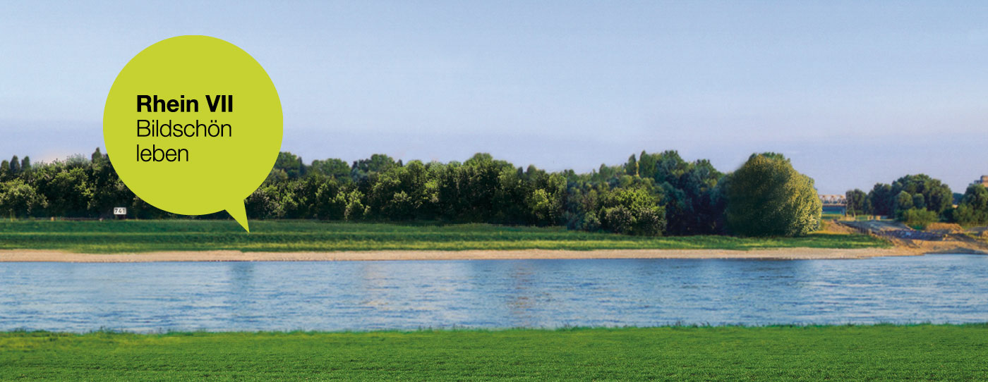 projekte rhein7 Titel