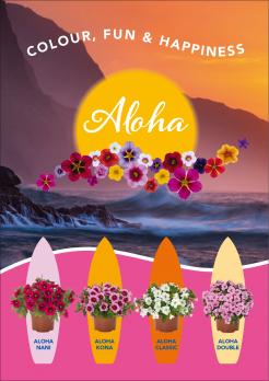 do aloha 2